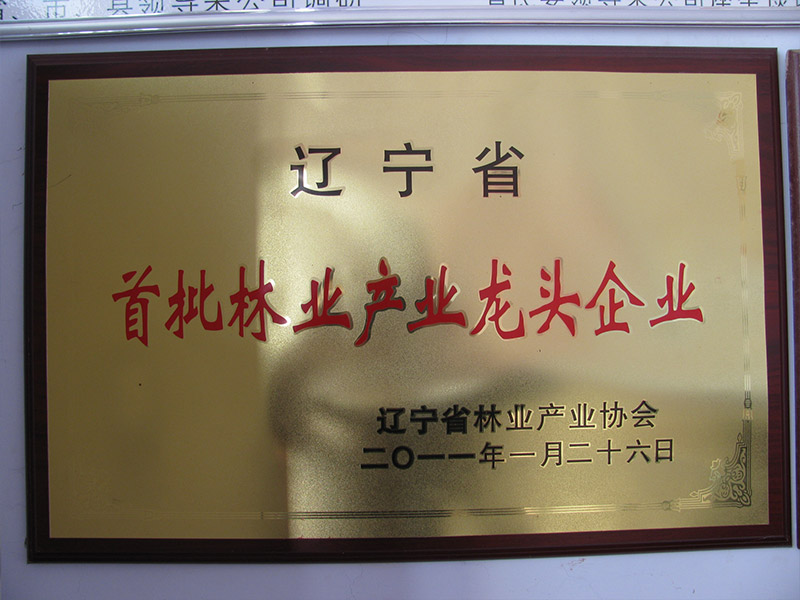 省林業(yè)龍頭.jpg