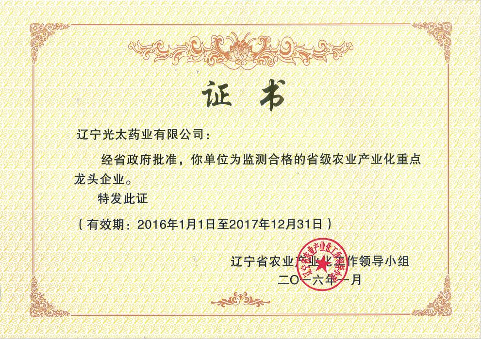 新農業(yè)產(chǎn)業(yè)龍頭企業(yè).jpg