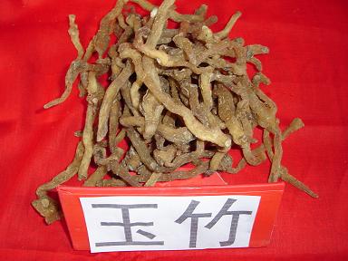 玉竹.jpg