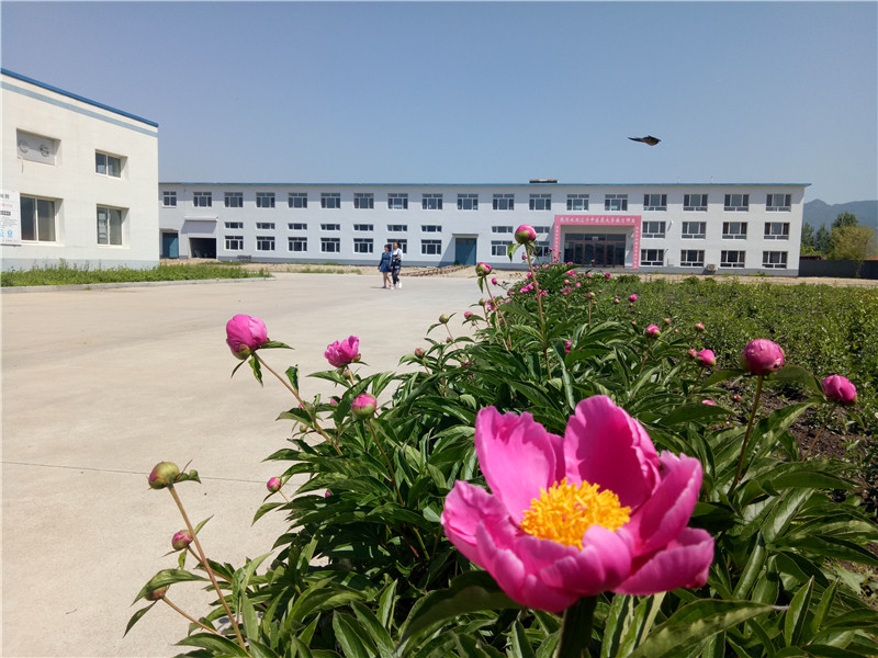 廠(chǎng)區院景.jpg